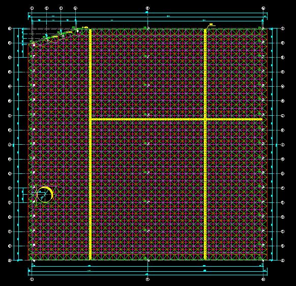 荥阳东营金岭化工大王煤棚网架